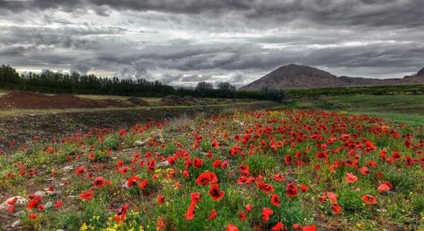 عکس از طبیعت آذربایجان