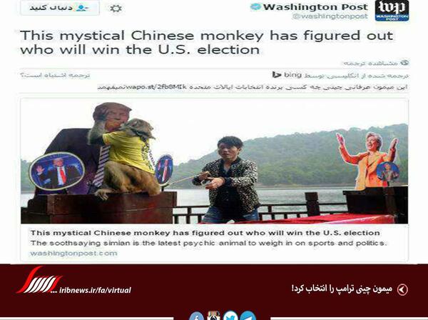 عکس میمون ترامپ