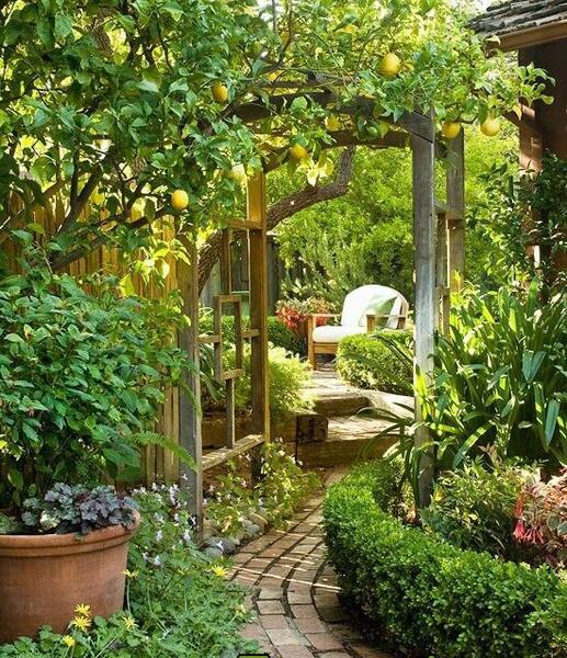عکس ایده هایی برای تزیین باغ