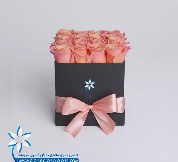 عکس گل رز گلبهی