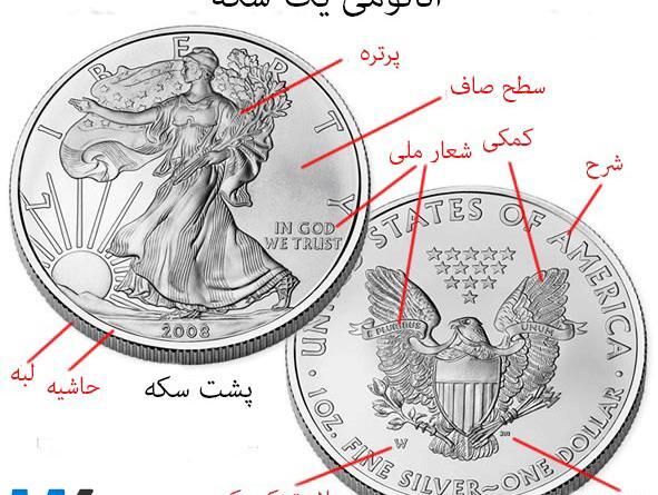 عکس عقاب روی دلار
