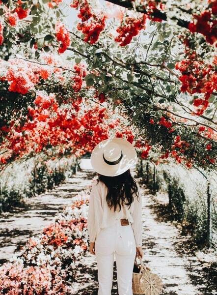 عکس های پروفایل بهاری زیبا