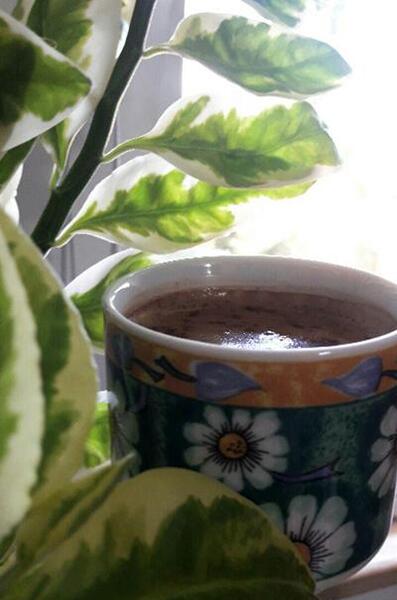 عکس طبیعت قهوه