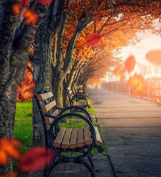 عکس طبیعت خاص