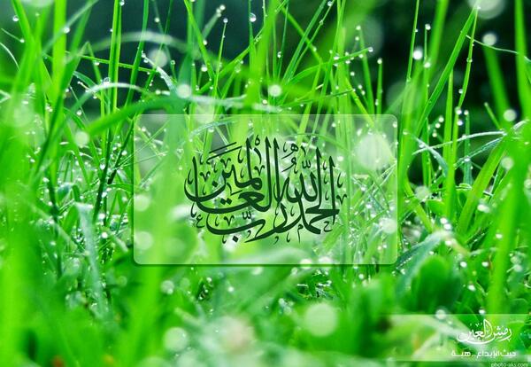 عکس الله سبز
