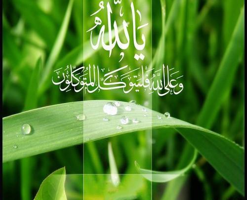 عکس الله سبز