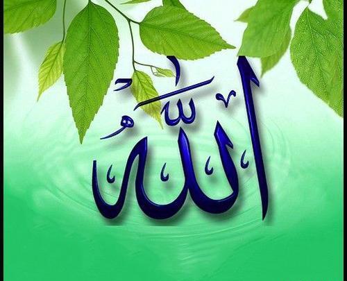 عکس الله سبز
