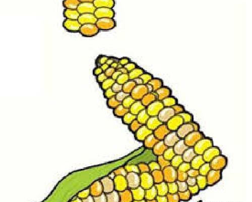 عکس فانتزی نشانه ذ