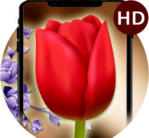عکس حرکتی گل لاله