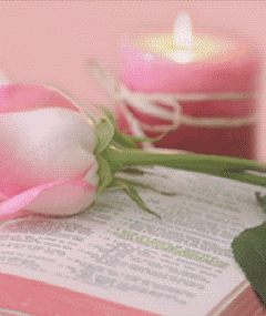 عکس حرکتی گل لاله
