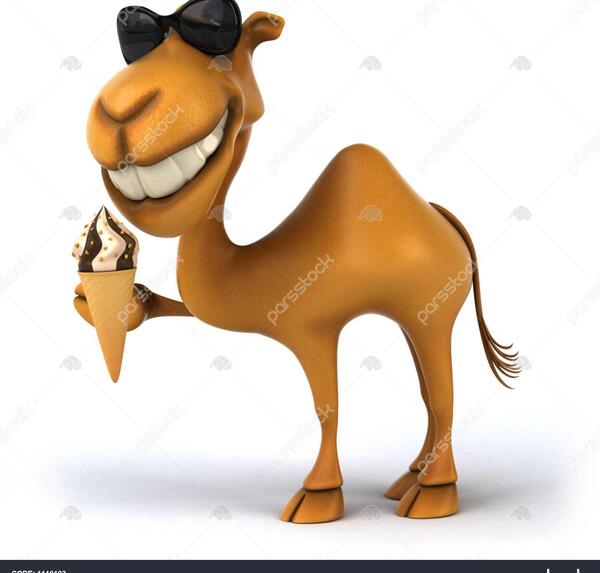 عکس عکس شتر