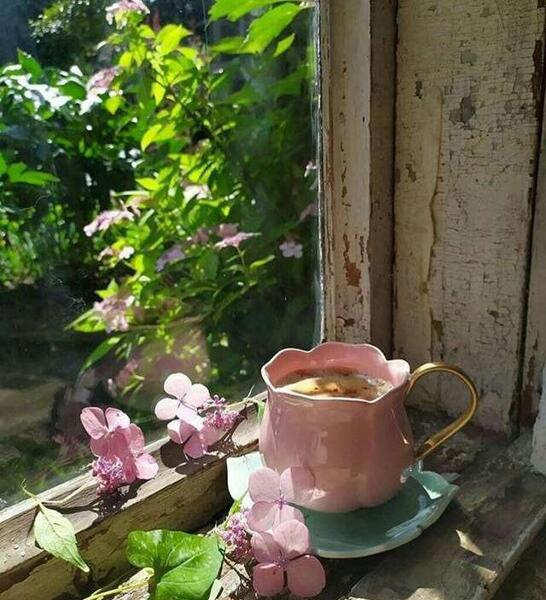 عکس پروفایل طبیعت زنده