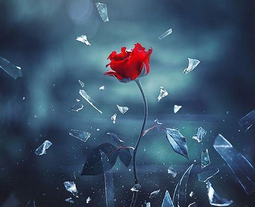 عکس جالب پروفایل
