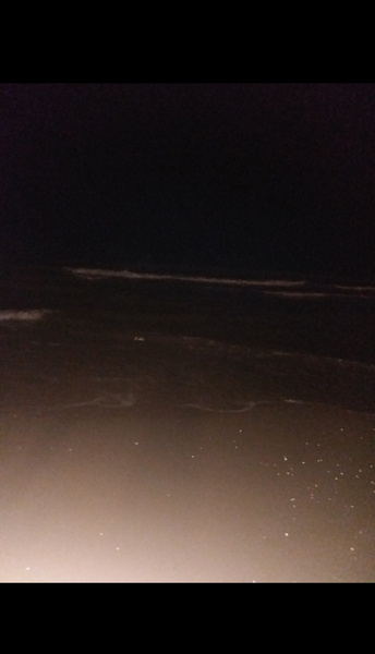 عکس دریا شمال در شب