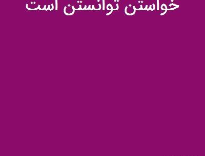 عکس ضرب المثل خواستن توانستن است