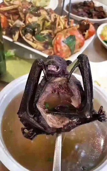 عکس غذا چینی