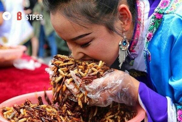 عکس غذا چینی