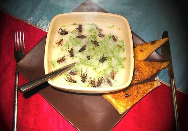 عکس غذا چینی