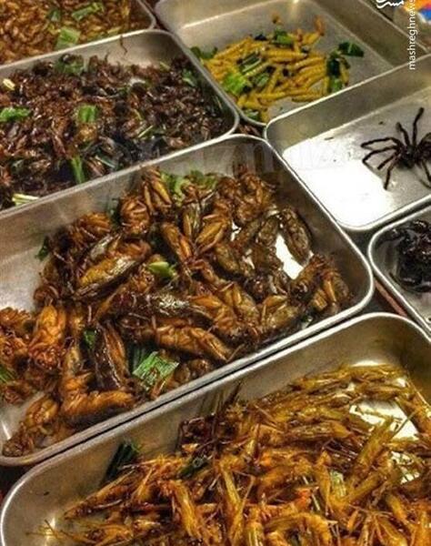 عکس غذا چینی