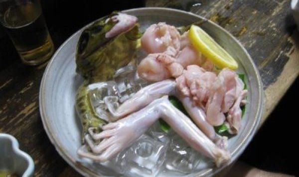 عکس غذا چینی