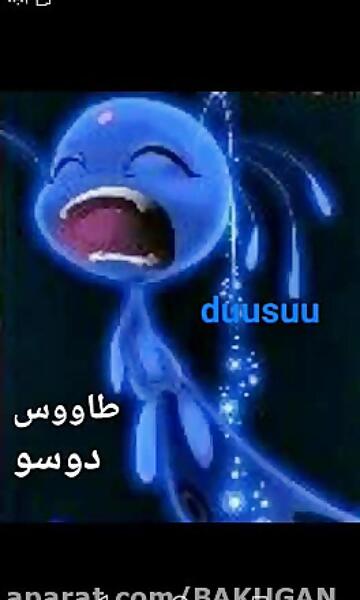عکس کوامی طاووس
