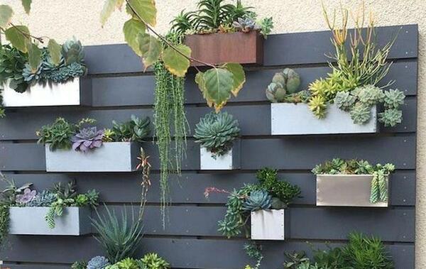 عکس ایده برای حیاط خلوت کوچک