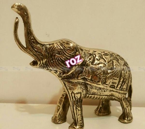عکس فیل برنز