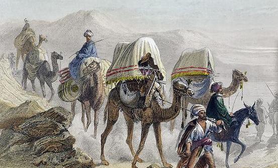 عکس قطار شتر