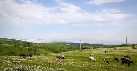 عکس زیبا از طبیعت خرداد ماه