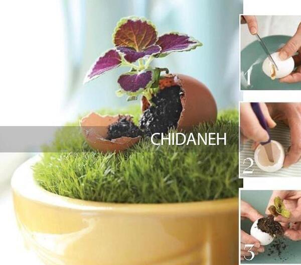 عکس سبزه عید با وسایل دور ریختنی