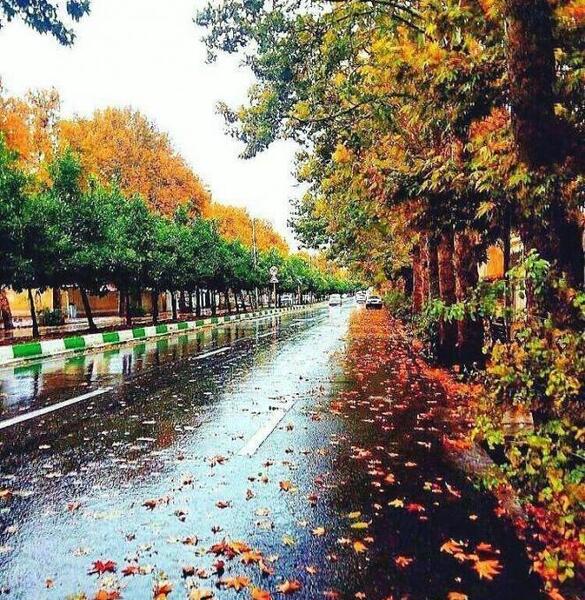 عکس زیبای منظره پروفایل