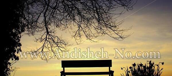 چگونه عکس های ضد نور بگیریم