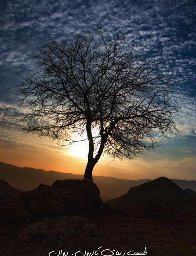 عکس طلوع خورشید زمستانی