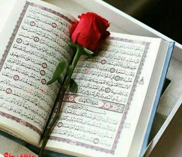 عکس قران شیک
