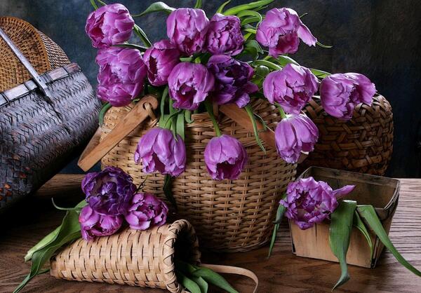 عکس دسته گل نقاشی