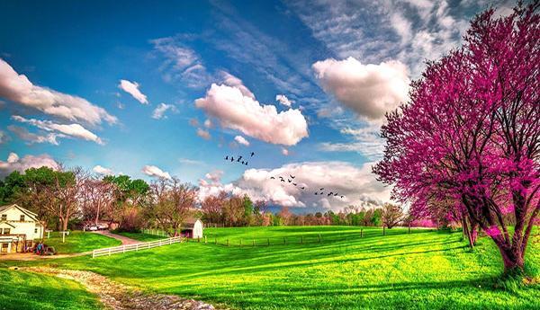 عکسهای منظره طبیعت زیبا
