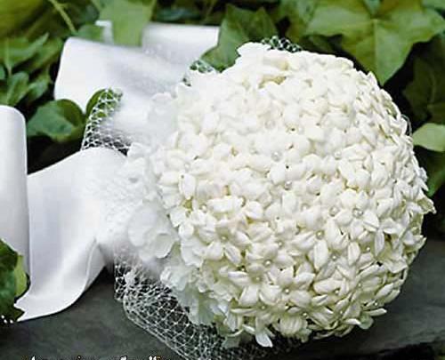 عکس دسته گل یاس