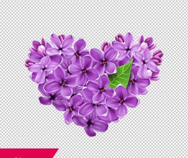 عکس دسته گل یاس
