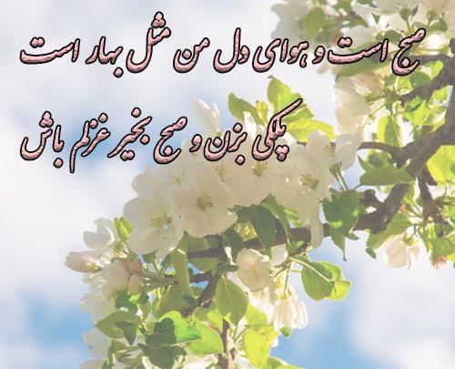 عکس صبح بخیر مذهبی