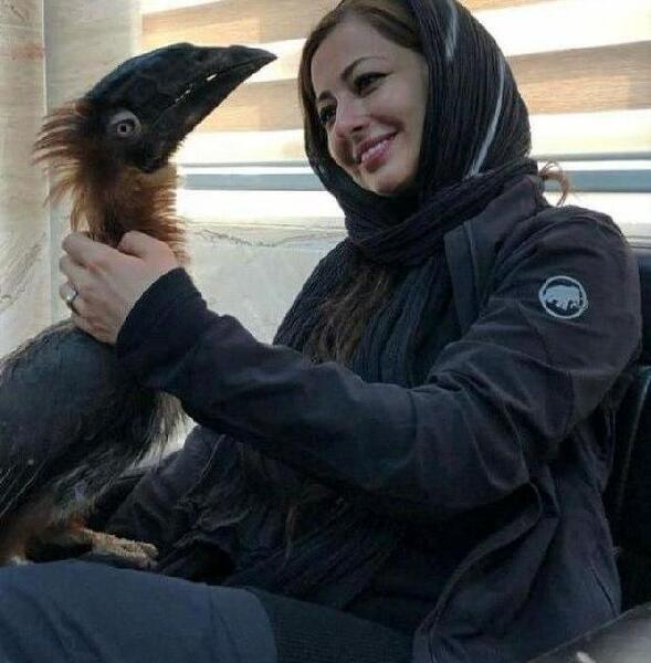 عکس ترسناک نفیسه مطلق