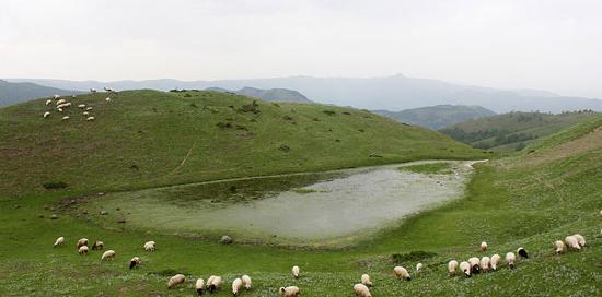 عکس تصاویر طبیعت زیبای تالش
