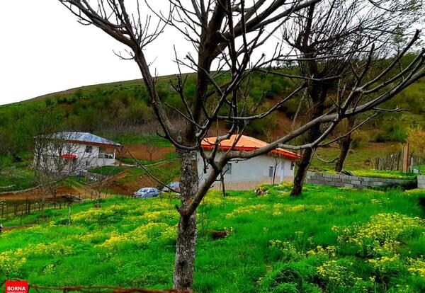 عکس تصاویر طبیعت زیبای تالش