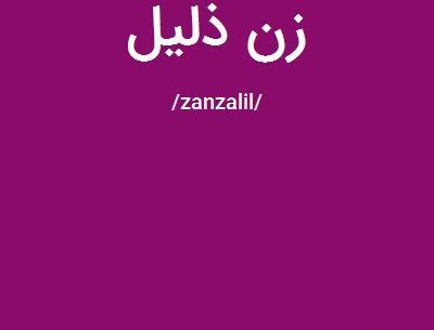 عکس نوشته مرد زن ذلیل