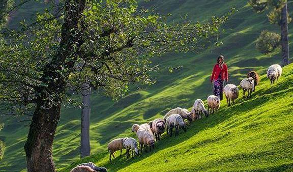 عکس منظره های زیبا در ایران