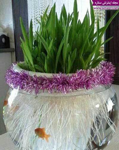 عکس سبزه ی ذرت