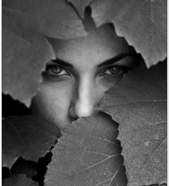 عکس سیاه حرفه ای
