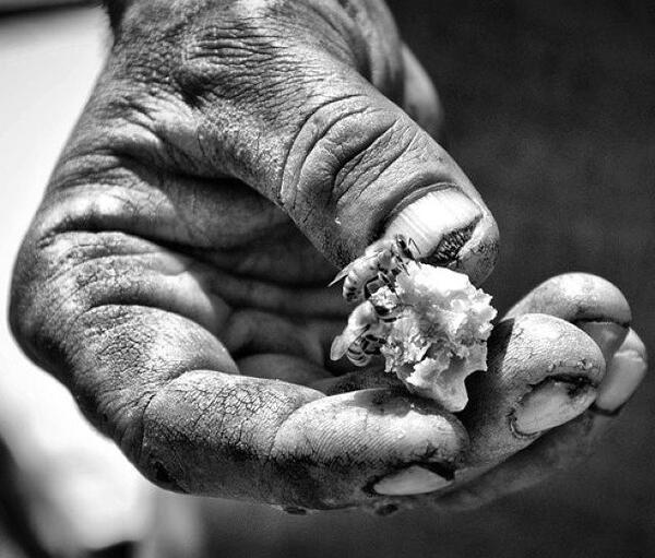 عکس سیاه حرفه ای
