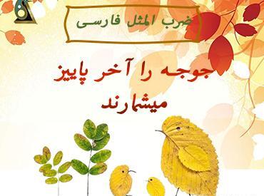 عکس تصویر ضرب المثل جوجه را آخر پاییز میشمارند