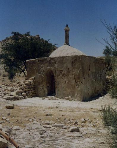 عکس شاه پسر مرد