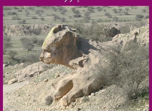 عکس شاه پسر مرد